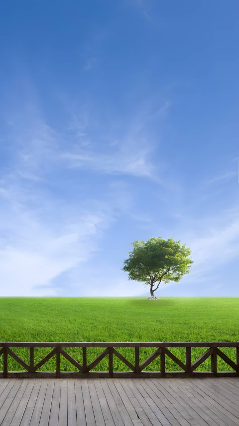 Fresh Green Grass Field Mobile Background