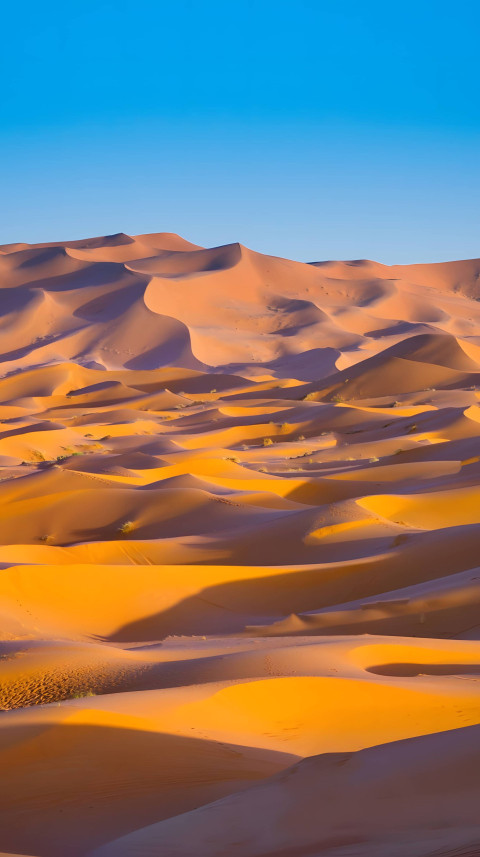Amazing Desert Sky Over Dune for Phone Wallpaper