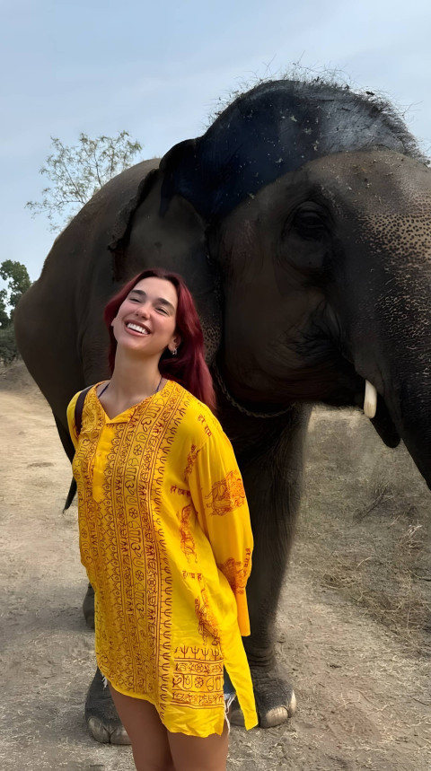 Dua Lipa High Quality Wallpaper for Phone