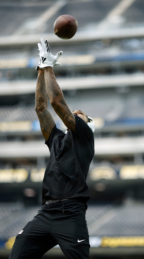 Raiders Stadium Wallpaper with High Definition Quality for Phone