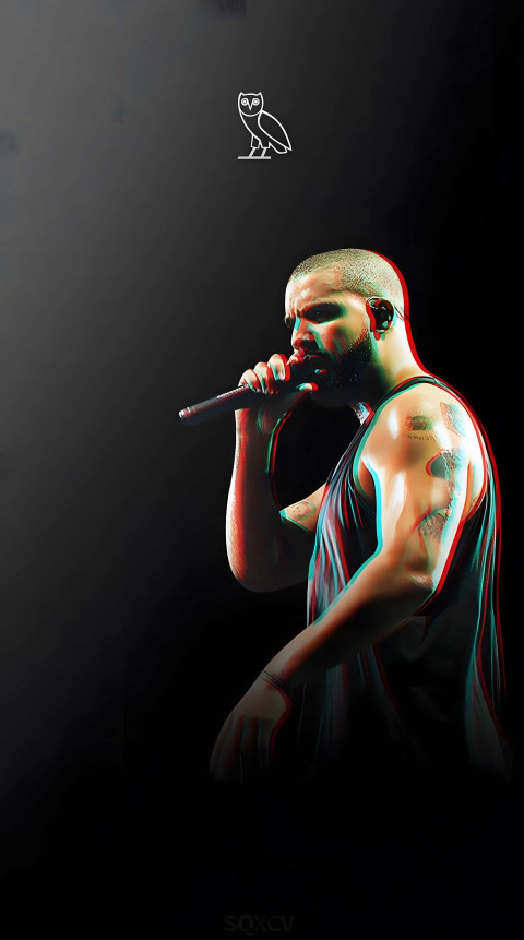 Vibrant Drake 4K Image to Enjoy Daily