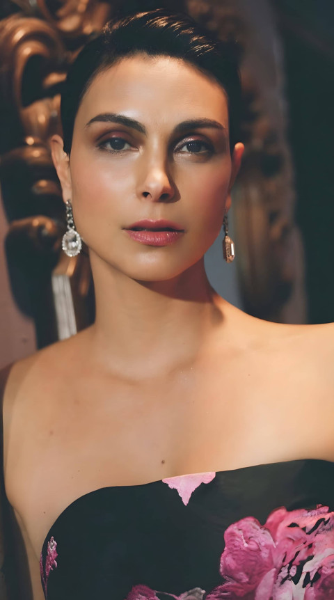 High Resolution Morena Baccarin Background Photo