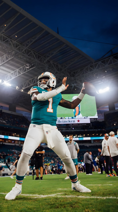 High Def Miami Dolphins Wallpaper for Hardcore Fans