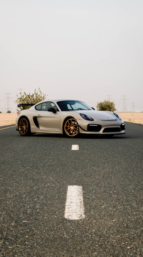 Gorgeous Porsche 911 Image for Car Fan 4K