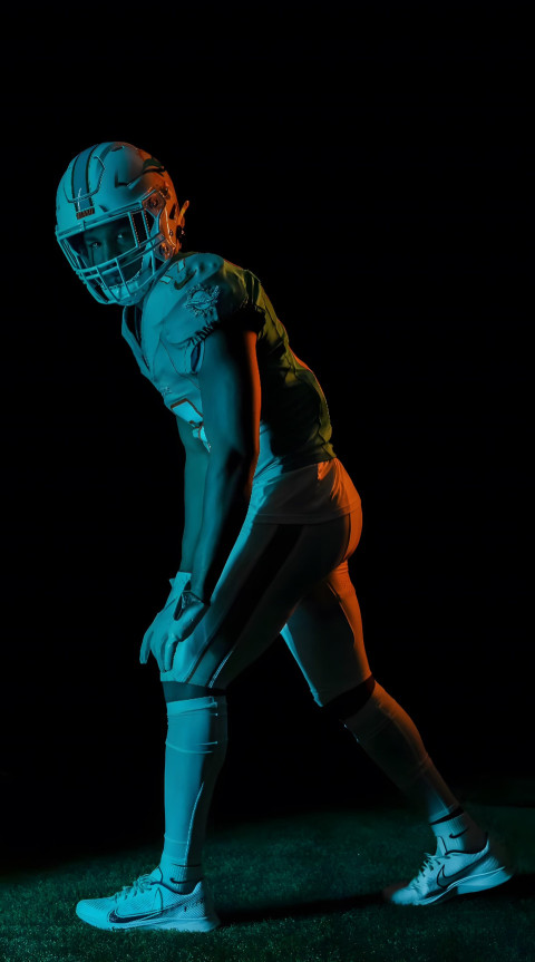 Epic Miami Dolphins Photo for Your Screen