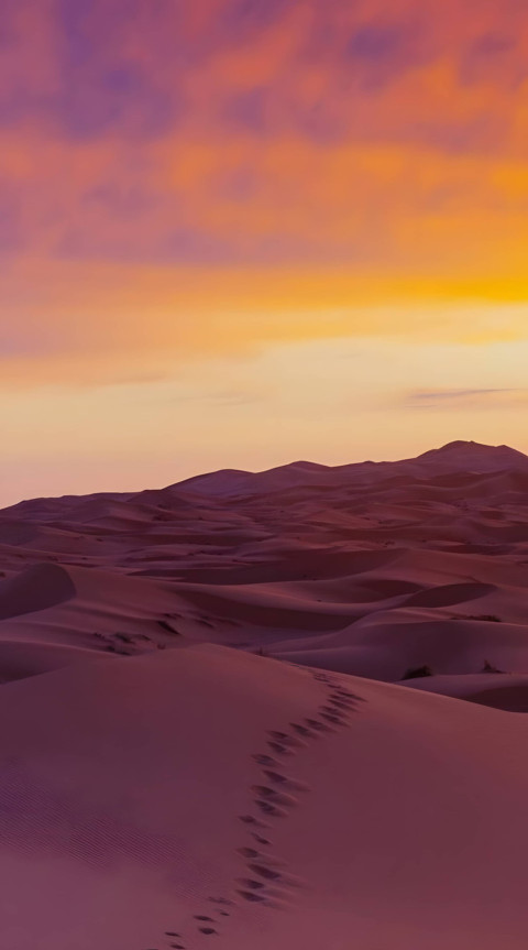 Quiet Desert Scene at Twilight for iPhone