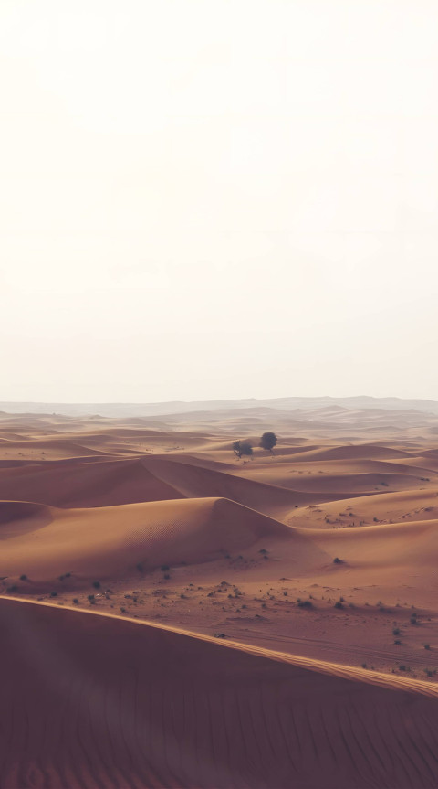 Tranquil Desert Horizon for iPhone Mobile Image