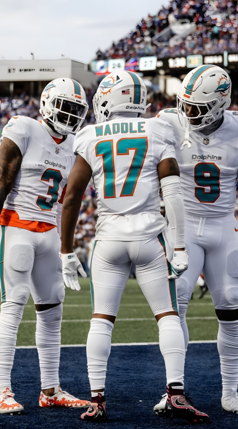 Best Miami Dolphins Image for Football Fans