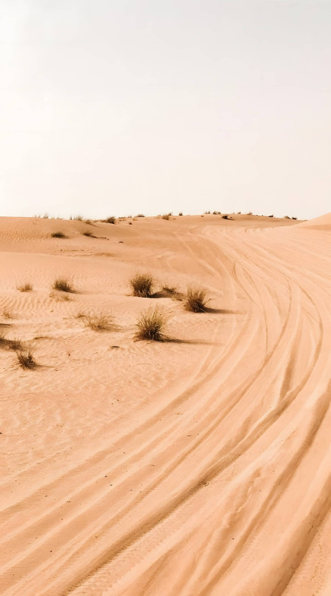 Bright Desert Sand with White Sky for Phone