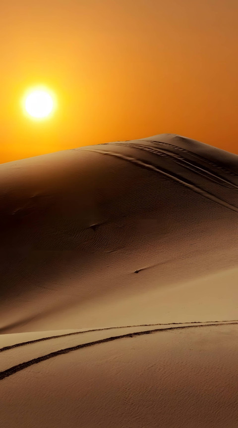 Peaceful Desert Sunset for Mobile Home Screen 4K