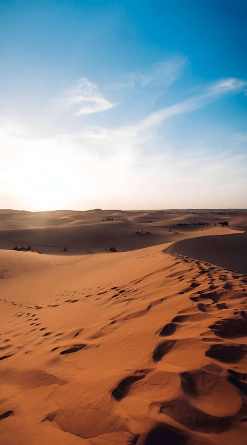 Stunning Desert Sky for Android Mobile Background