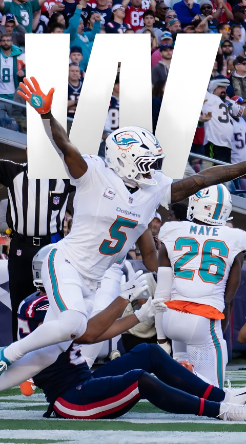 Miami Dolphins Picture for Digital Displays