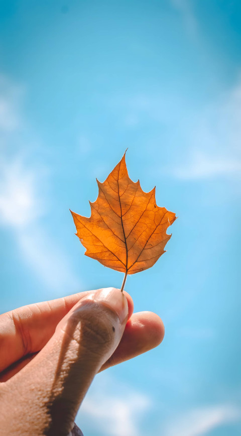 Autumn 4K Mobile Background