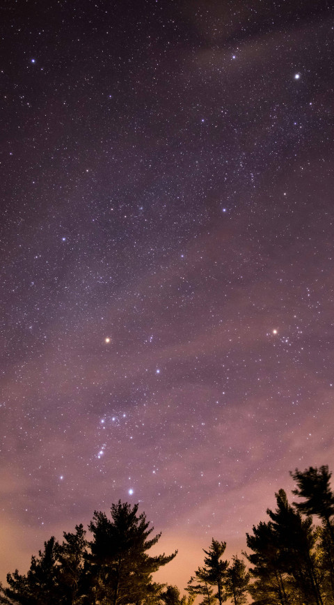 Star Filled Night Sky Background