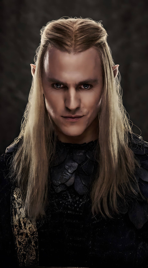 Beautiful Lord of the Rings Mobile Wallpaper