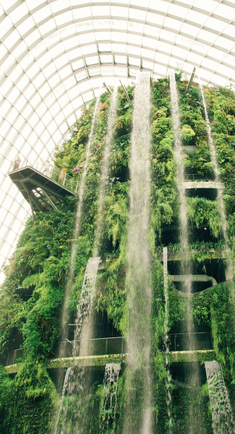 Peaceful Green Botanical Garden Mobile Wallpaper