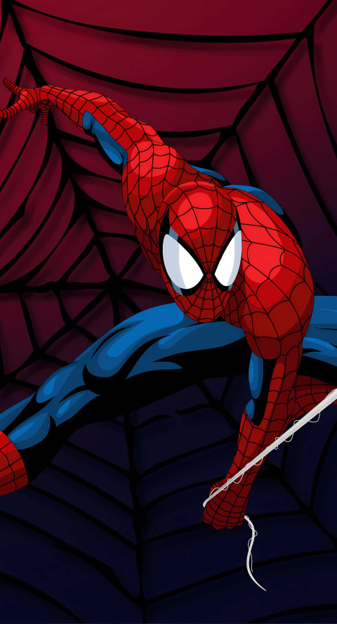 Stunning Spiderman Photo for Device Wallpaper