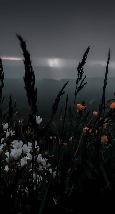 Beautiful Indie Photo to Personalize Your Screen