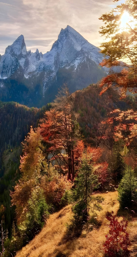 November Fall Forest Mountain Mobile Wallpaper upscayl 5x realesrgan x4plus