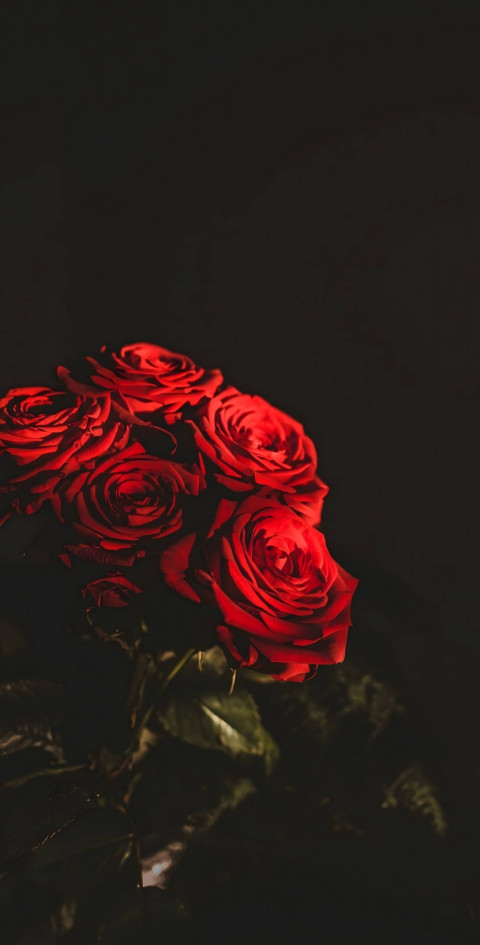 Simple and Elegant Flower Mobile Background