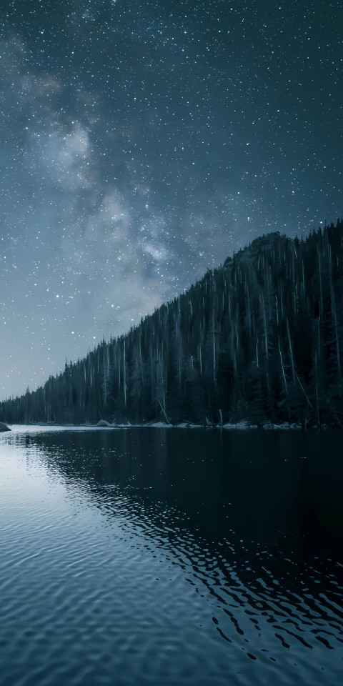 Forest River 4K Mobile Image