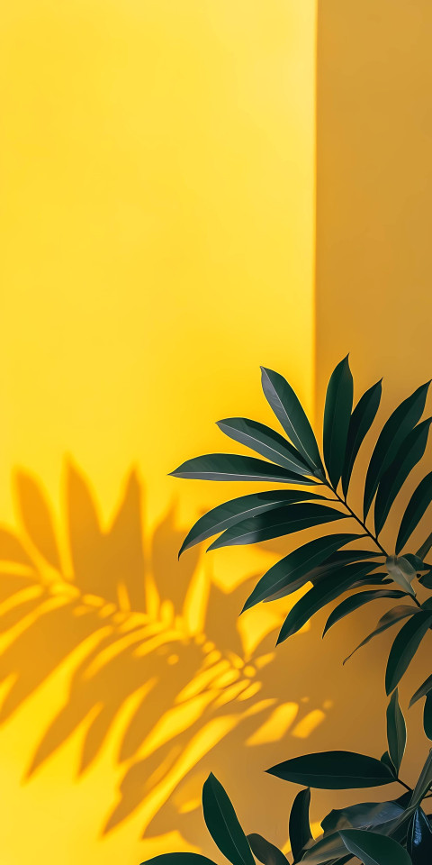 Yellow Aesthetic iPhone Background for a Modern Look 4K