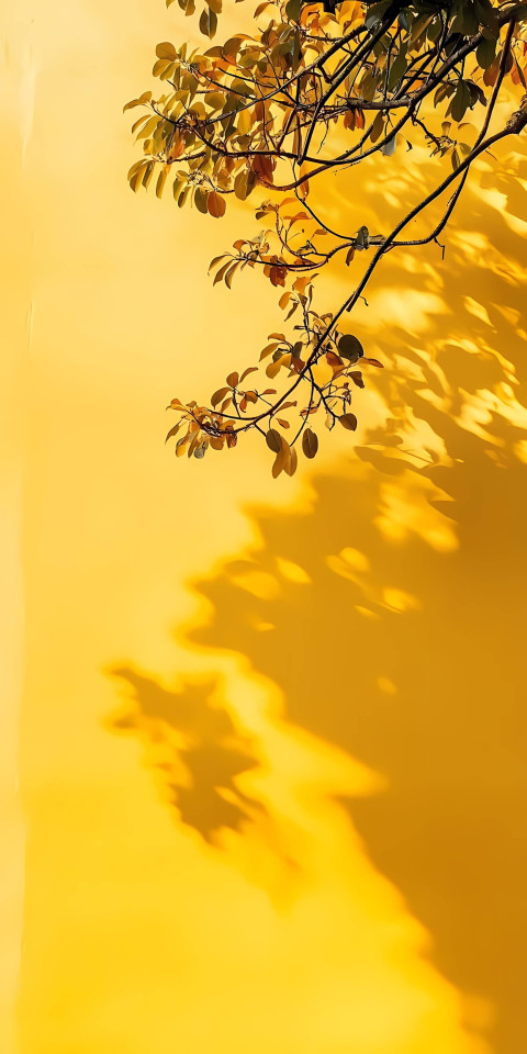 Golden Yellow Phone Background for a Warm Vibe