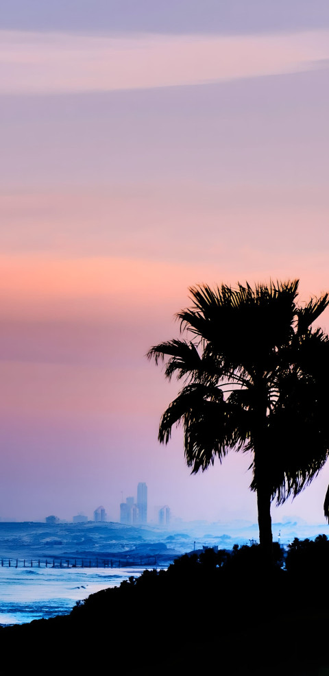 Palm Tree Beach Sunset Mobile Image