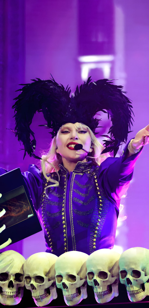 Chic Lady Gaga Mobile Photo