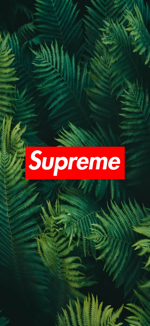 supreme wallpaper green 4k android
