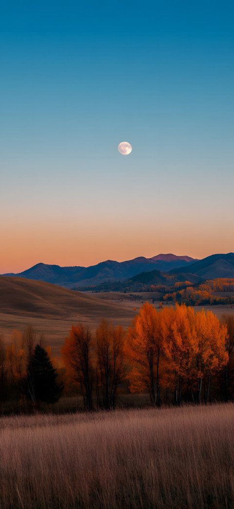 Hidden Paradise Scene Mobile Photo