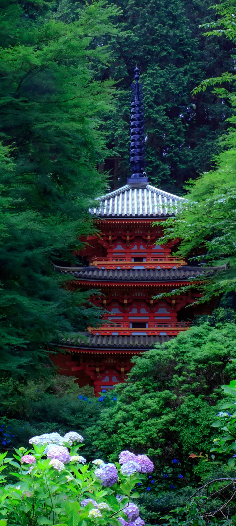 Peaceful Pathway Botanical Garden Mobile Wallpaper