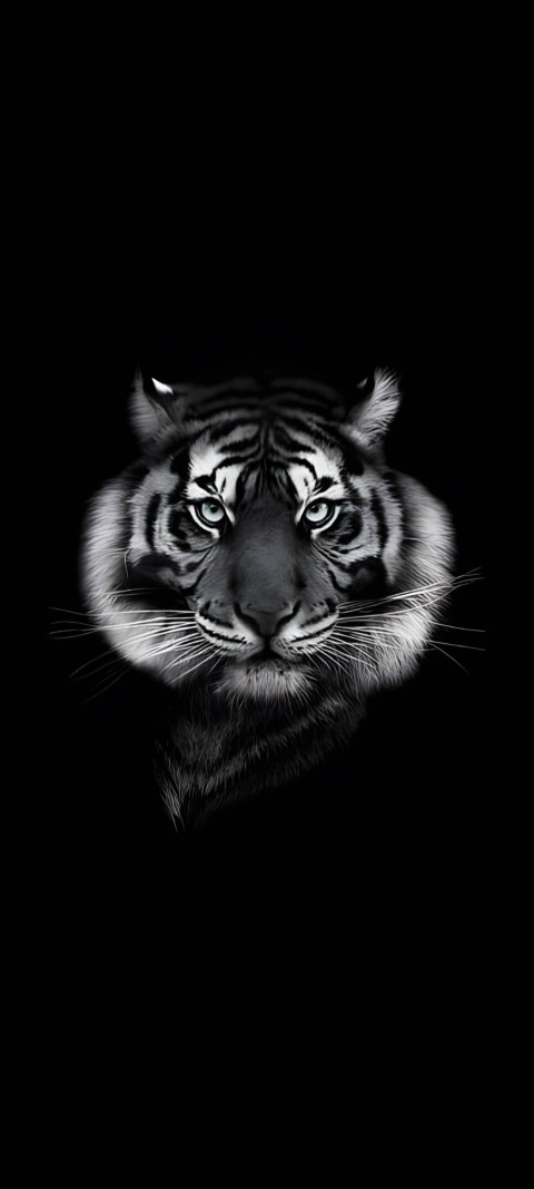 Royal Bengal Tiger Wallpaper For Phone