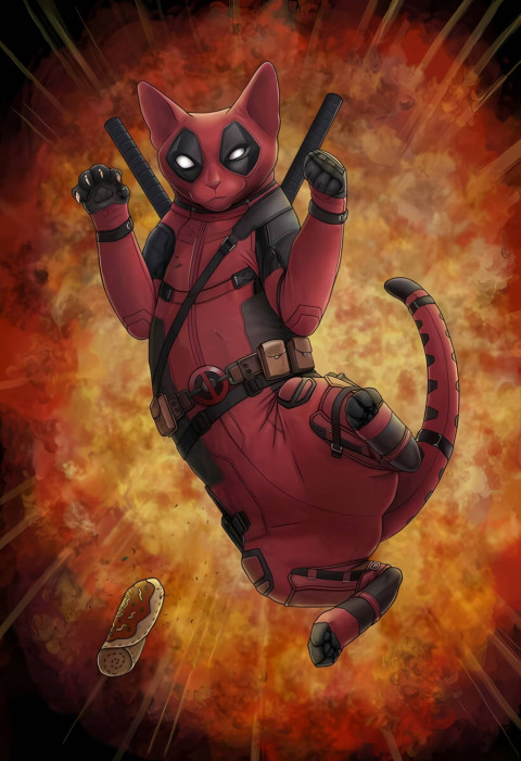 Deadpool Cat Wallpaper for Your Phone