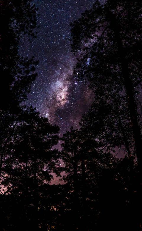 Starry Universe Phone Wallpaper