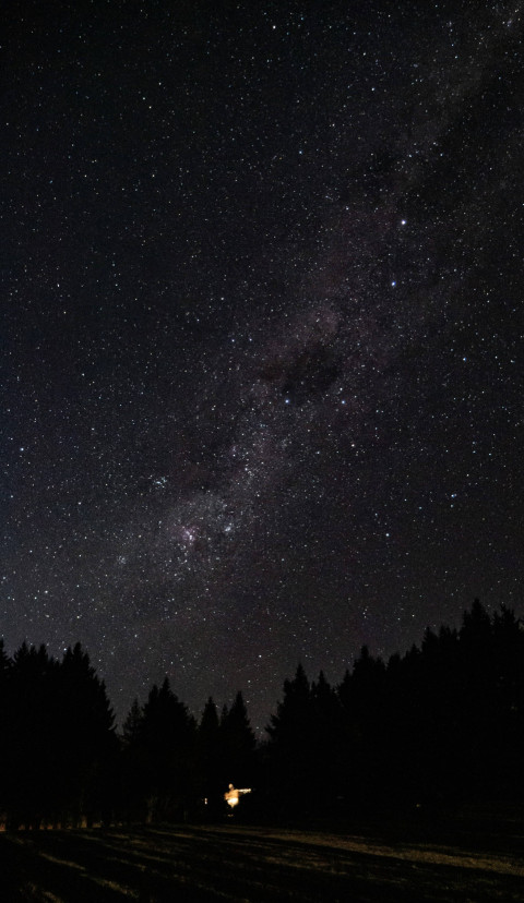 Starry Desert Sky Mobile Wallpaper