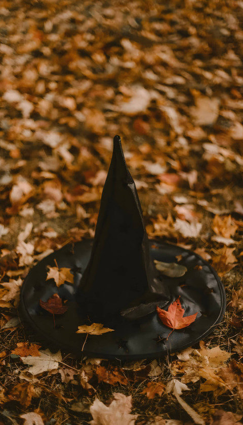 Warm Autumn Tones Phone Wallpaper