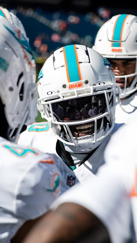 Miami Dolphins Picture for Your Home Screen