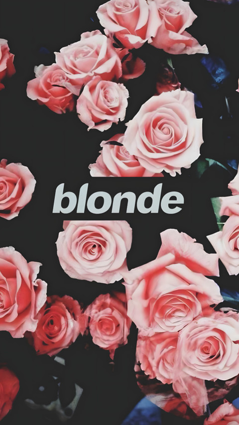 Frank Ocean Image Wallpaper in 4K Resolution