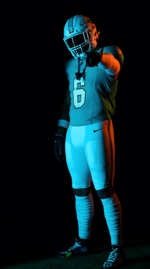 Miami Dolphins Wallpaper to Power Up Your Device