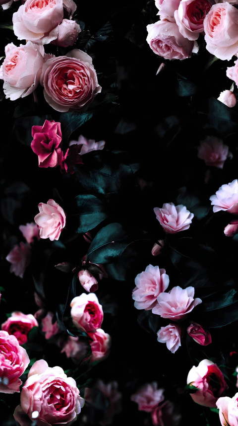 Artistic Flower Mobile Wallpaper in 4K