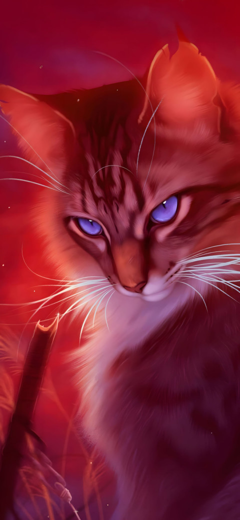 Cute Siamese Cat Image in 4K