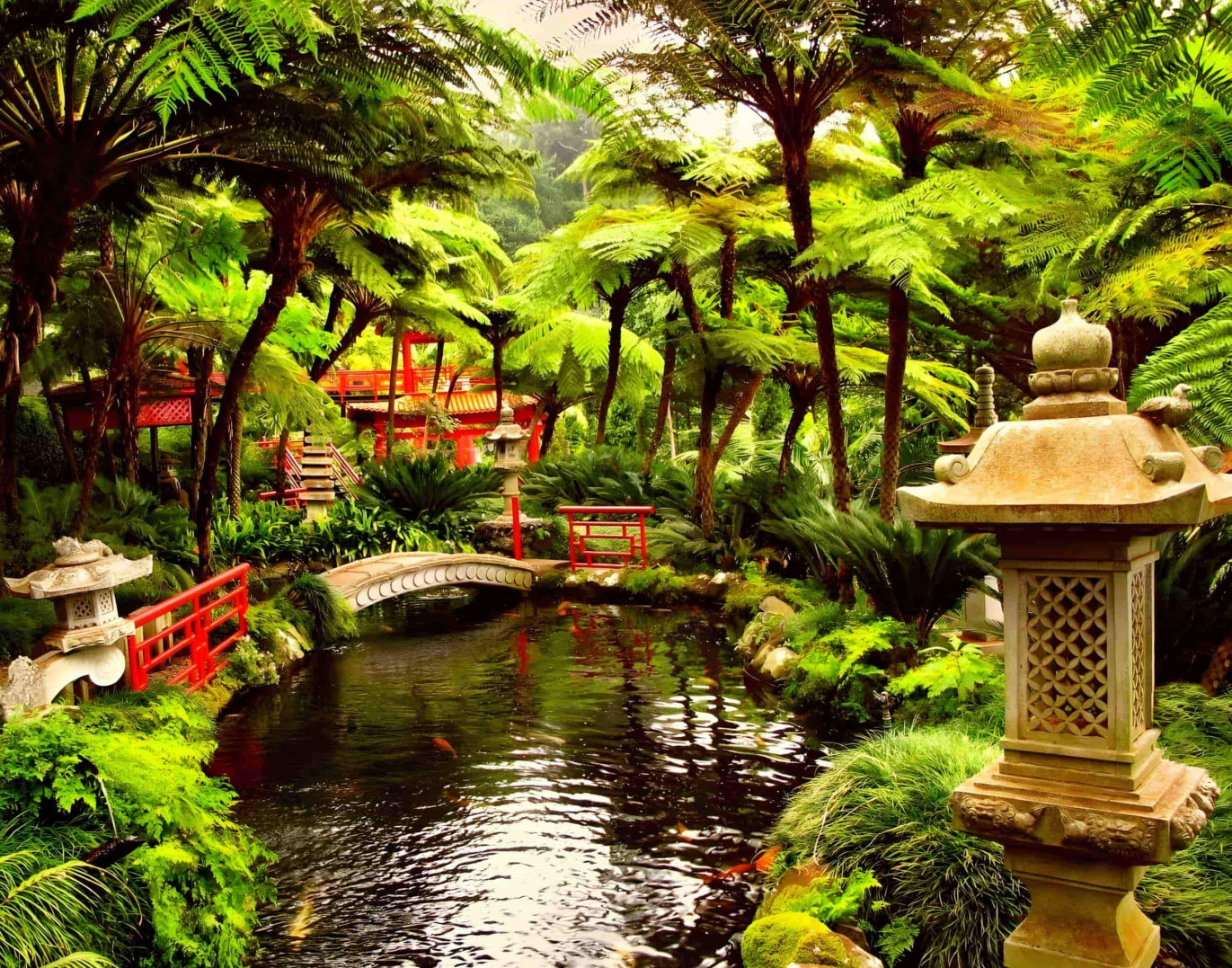 Categories GoodWallpapers