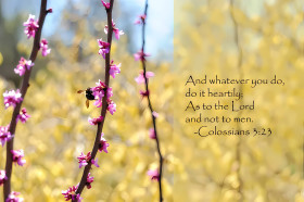 4K Daily Bible Verse Wallpaper to Boost Your Faith