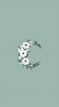 4K Elegant Aesthetic Sage Green Mobile Photo