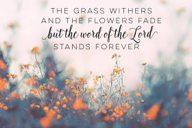 4K Powerful Bible Verse Quotes for Hope and Peace