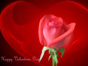 4K Valentine Day Desktop Aesthetic Wallpaper