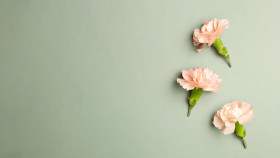 Aesthetic Sage Green Desktop Background