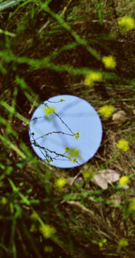 Beautiful Botanical Garden Mobile Image for Phone