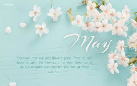Bible Verse Wallpaper for Strength in Trial for Desktop